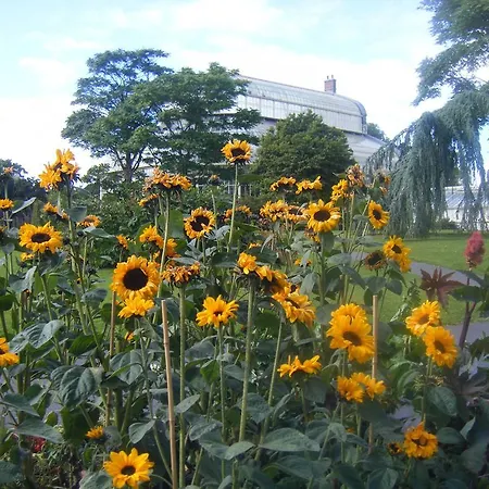 Abberley House Dublin